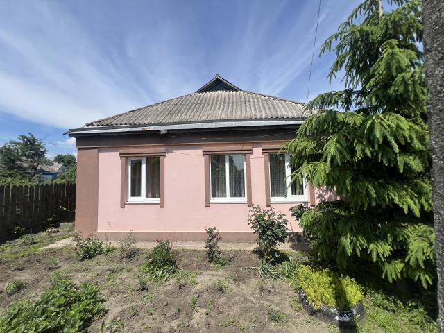 Продам 4 кім будинок на Бачиївщині