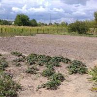 Продаж будинку в Баришівці, 82 кв.м. 4 кімнати