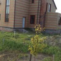 Продажа дома в селе Селичевка Броварской район Барышевка 4 км.