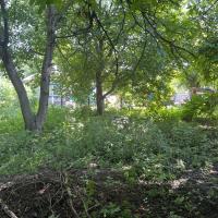 Будинок в селі Годунівка 3 кімнати, цегляний, 85 кв.м.