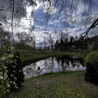 Будинок в м. Березань, 220 м2, ремонт, озеро, баня, ліс