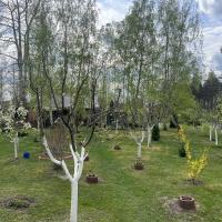 Будинок в м. Березань, 220 м2, ремонт, озеро, баня, ліс