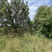 Продаж 4 кімнатного будинку в Корніївці