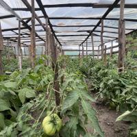 Капітальний будинок в місті Яготин - 5 кімнат, ремонт, утеплений, сад