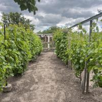 Капітальний будинок в місті Яготин - 5 кімнат, ремонт, утеплений, сад