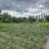 Капітальний будинок в місті Яготин - 5 кімнат, ремонт, утеплений, сад