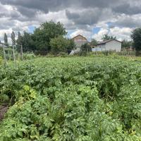 Капітальний будинок в місті Яготин - 5 кімнат, ремонт, утеплений, сад