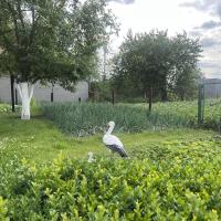 Продаж 5 кімнатного будинку в місті Яготин