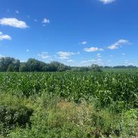 Продаж 3х кімнатного будинку в Любомировці