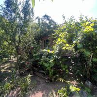 Продам 3 кімнатний цегляний будинок в Березані (пів будинку)