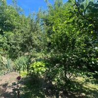 Продам 3 кімнатний цегляний будинок в Березані (пів будинку)