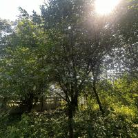 Продаж будинку з земельною ділянкою, с. Тужилів