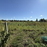 Продаж 4х кім будинку в селі Садове ,Київська область