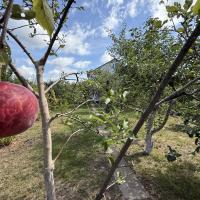 Продам 3 кім будинок в смт Баришівка, Київська область