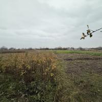 Продам капітальний 2кім будинок в селі Корніївка