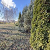 Продажа дома в с. Бзов с собственным озером