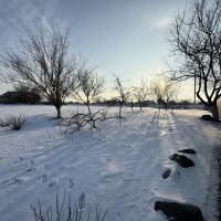 Будинок з ремонтом в селі Нова Оржиця 80 м2, 4 кімнати