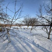 Будинок з ремонтом в селі Нова Оржиця 80 м2, 4 кімнати