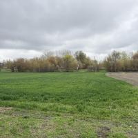 Продаж будинку в селі Гостролуччя 72 м2