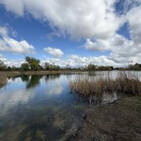 Продається двоповерхова дача в селі Власівка 50 м2