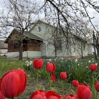 Продається мальовничий будинок в селі Лукаші 82 м2