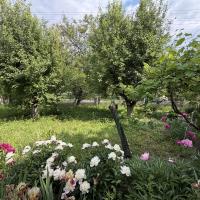 Продаж 4 кім будинку в селі Ничипорівка 100 м2