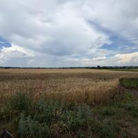 Продається 4 кім будинок 59 м2 з 52 сотками в історичному селі Капустинці
