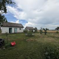 Продається 4 кім будинок 59 м2 з 52 сотками в історичному селі Капустинці