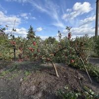 Продаж будинку-дачі в селищі Баришівка (Пасічна) 20 м2