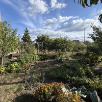 Продаж будинку-дачі в селищі Баришівка (Пасічна) 20 м2